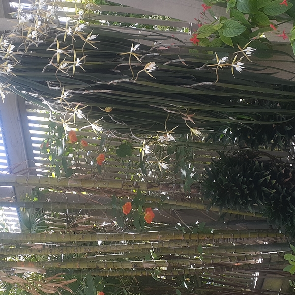 FASHION TO NATURE pause break Enjoy - Picture 3 of 6